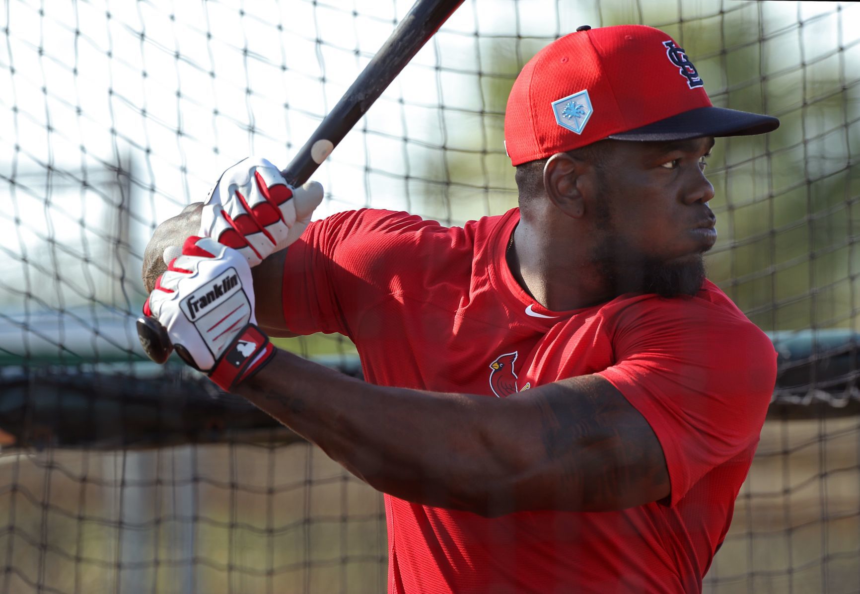 2019 Cardinals spring training